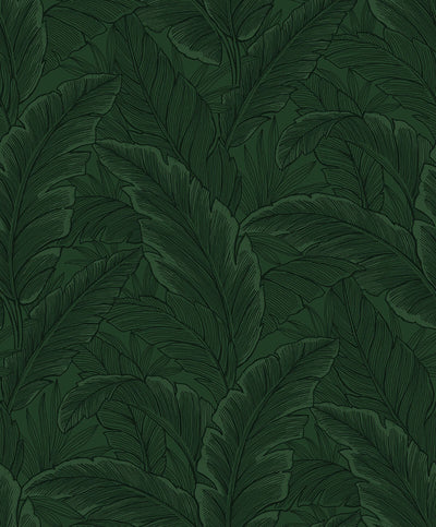 product image of Gulf Tropical Leaves Wallpaper in Forest Green 548