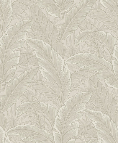 product image of Gulf Tropical Leaves Wallpaper in Crema 598