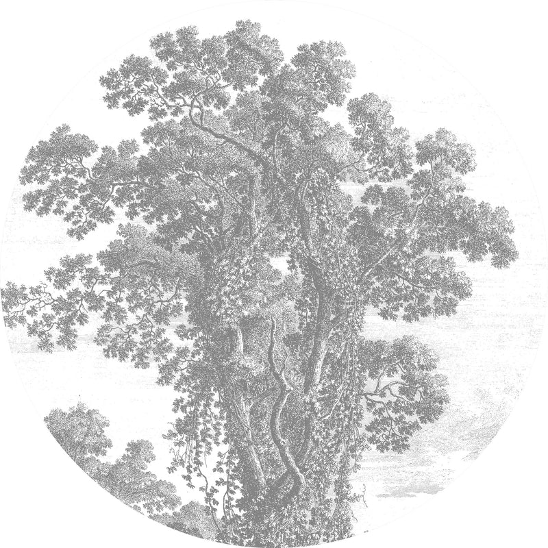 media image for Engraved Tree 013 Wallpaper Circle by KEK Amsterdam 227