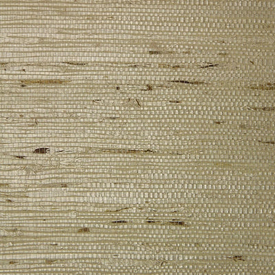 product image of Fine Arrowroot ER132 Wallpaper from the Essential Roots Collection by Burke Decor 548