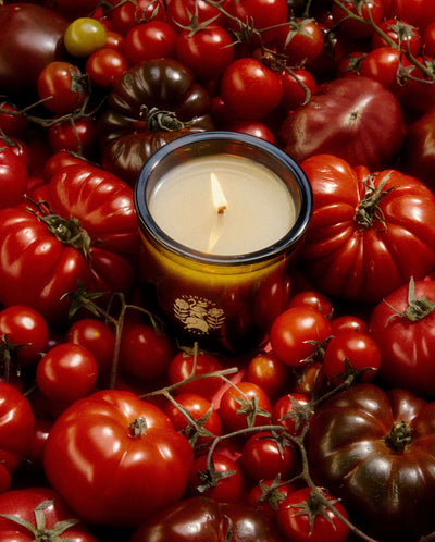 product image for Roma Heirloom Tomato Candle 16