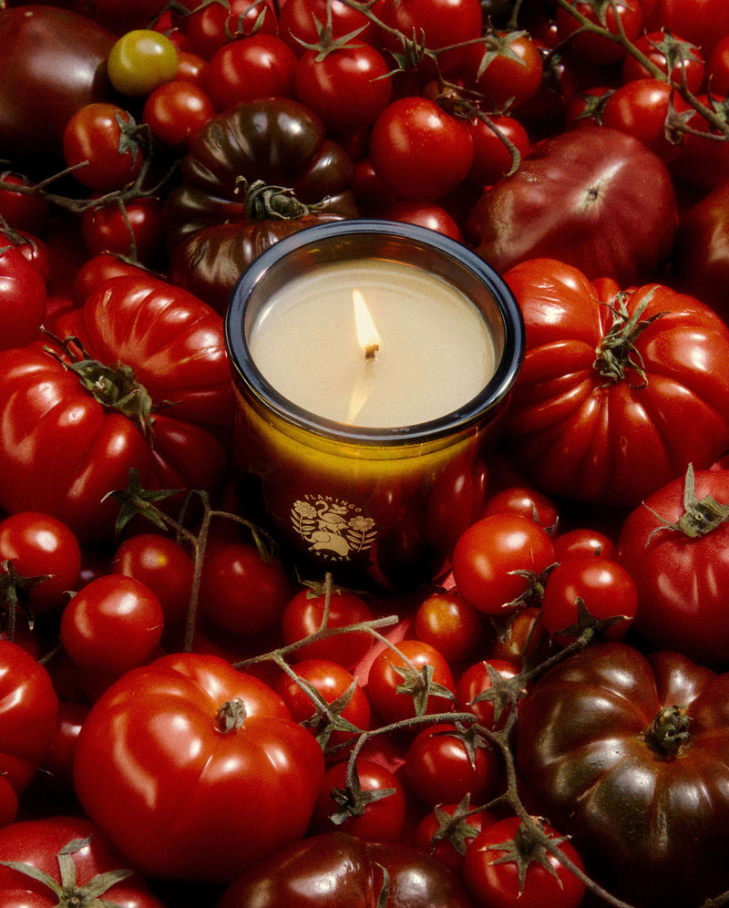 media image for Roma Heirloom Tomato Candle 283