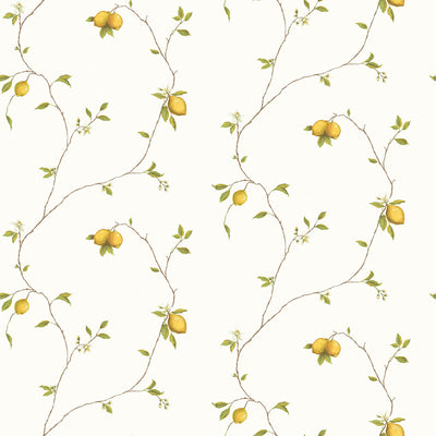 product image of Trailing Lemons Yellow Wallpaper from the Kitchen Recipes Collection by Galerie Wallcoverings 598