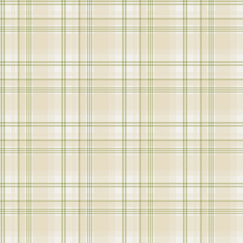 media image for Checked Green/Beige Wallpaper from the Kitchen Recipes Collection by Galerie Wallcoverings 26