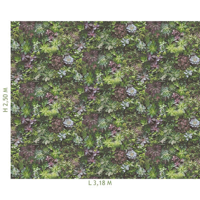 product image for Succulents Wall Mural from the Evergreen Collection by Galerie Wallcoverings 68