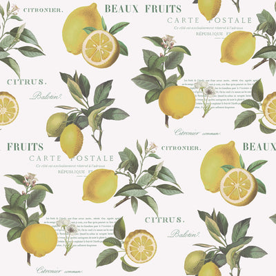 product image for Citron Botanical Yellow/Green Wallpaper from the Just Kitchens Collection by Galerie Wallcoverings 32