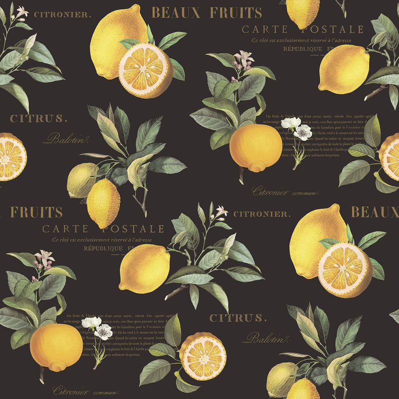 media image for Citron Botanical Black/Yellow Wallpaper from the Just Kitchens Collection by Galerie Wallcoverings 21