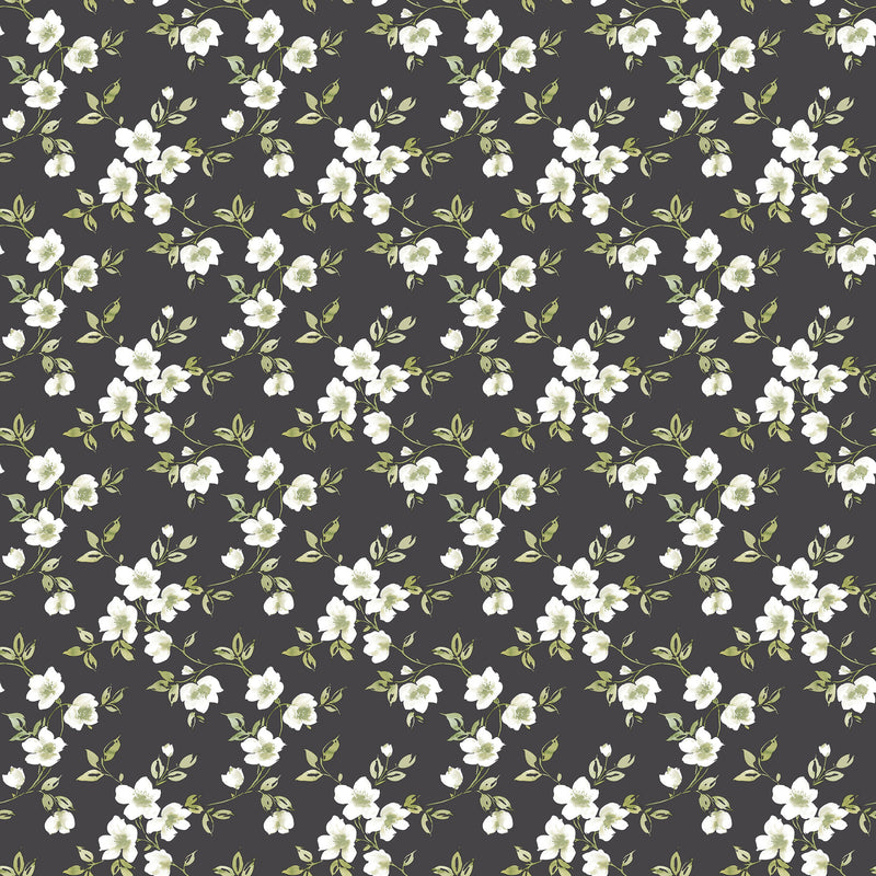 media image for Anemone Mini Black Wallpaper from the Secret Garden Collection by Galerie Wallcoverings 291