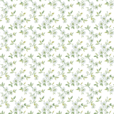 product image of Anemone Mini Duck Egg Wallpaper from the Secret Garden Collection by Galerie Wallcoverings 580