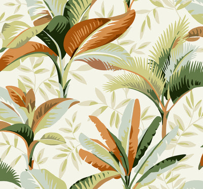 product image for Summerhouse Sienna Wallpaper from the Greenhouse Collection by York Wallcoverings 39