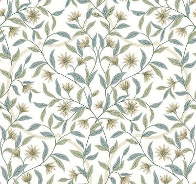 product image of Jasmine Eucalyptus Wallpaper from the Greenhouse Collection by York Wallcoverings 542