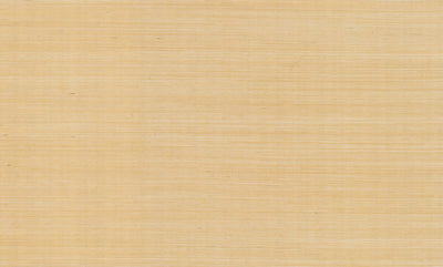 product image of Maguey Sisal Wallpaper in Gold 569