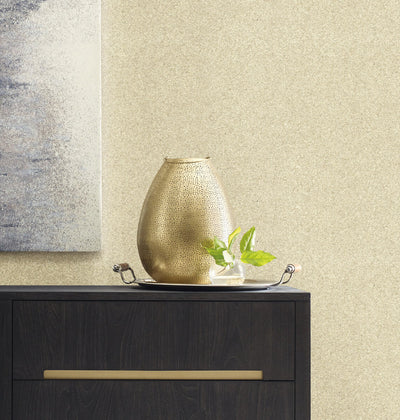 product image for Terra Mica Wallpaper in Oyster 45