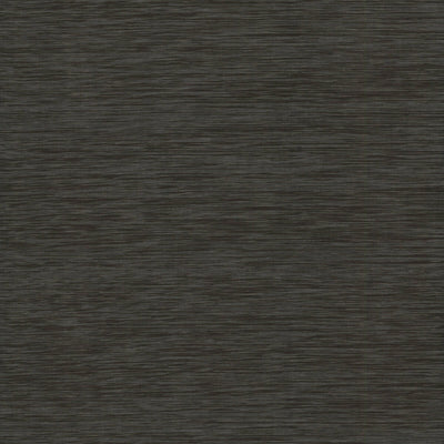 product image of Horizon Paperweave Wallpaper in Black 585