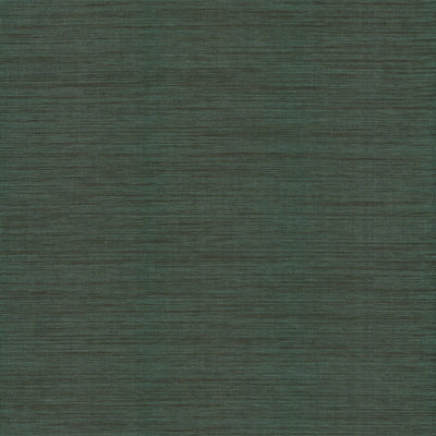 product image for Horizon Paperweave Wallpaper in Green 62