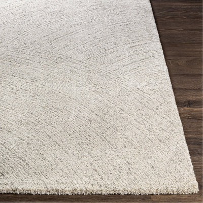 product image for Gavic GVC-2307 Rug in Beige & Light Grey by Surya 6