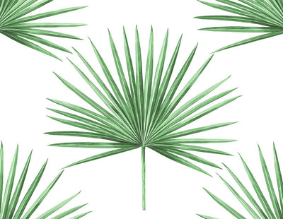 product image for Pacific Palm Peel & Stick Wallpaper in Greenery 6