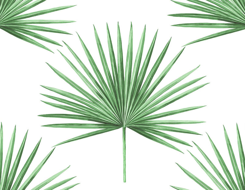 media image for Pacific Palm Peel & Stick Wallpaper in Greenery 262
