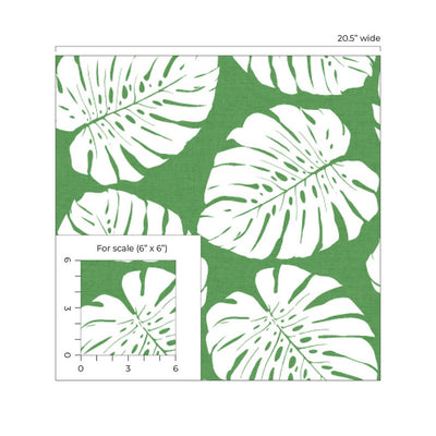 product image for Monstera Leaf Peel & Stick Wallpaper in Green 38