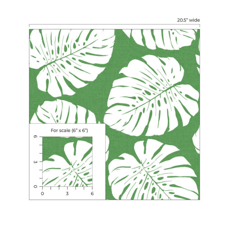 media image for Monstera Leaf Peel & Stick Wallpaper in Green 251