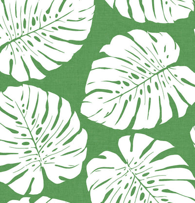 product image of Monstera Leaf Peel & Stick Wallpaper in Green 577