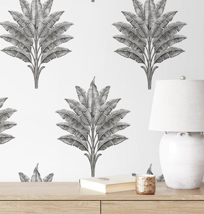 product image for Sea Breeze Palm Peel & Stick Wallpaper in Charcoal 74