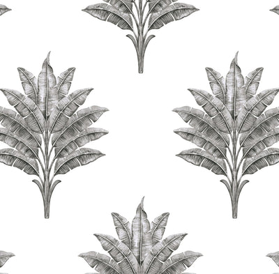 product image for Sea Breeze Palm Peel & Stick Wallpaper in Charcoal 84