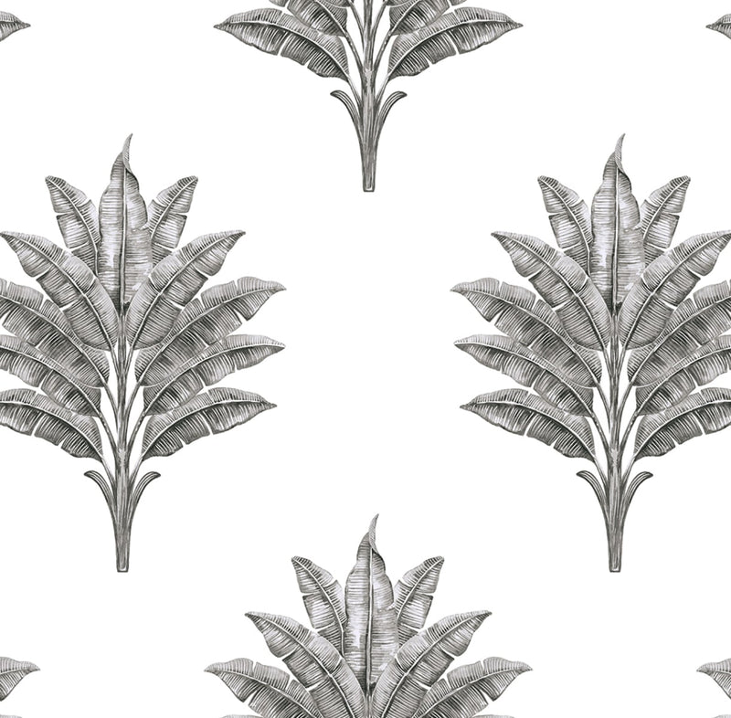 media image for Sea Breeze Palm Peel & Stick Wallpaper in Charcoal 269