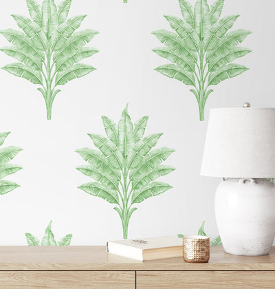 product image for Sea Breeze Palm Peel & Stick Wallpaper in Greenery 53