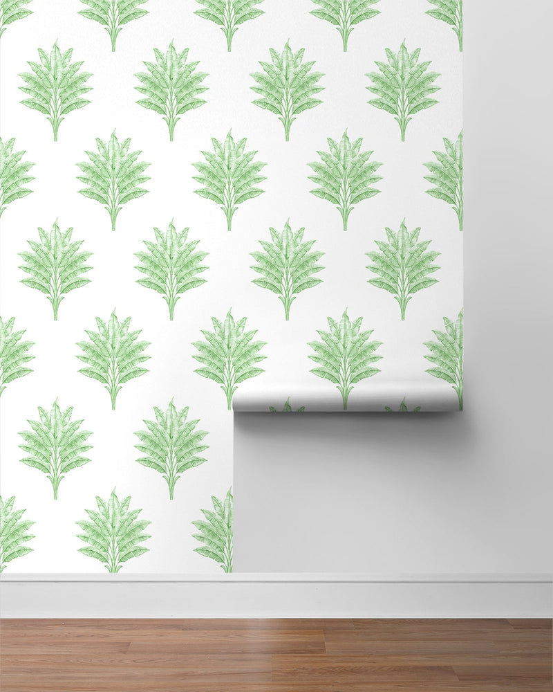 media image for Sea Breeze Palm Peel & Stick Wallpaper in Greenery 212