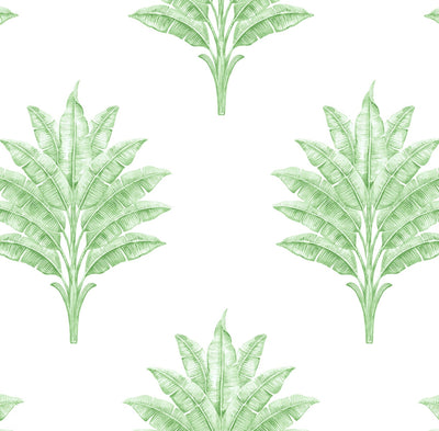 product image of Sea Breeze Palm Peel & Stick Wallpaper in Greenery 547