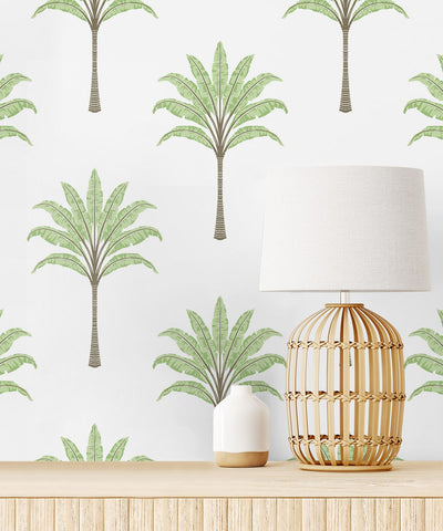 product image for Montgomery Palm Peel & Stick Wallpaper in Green Tea 21