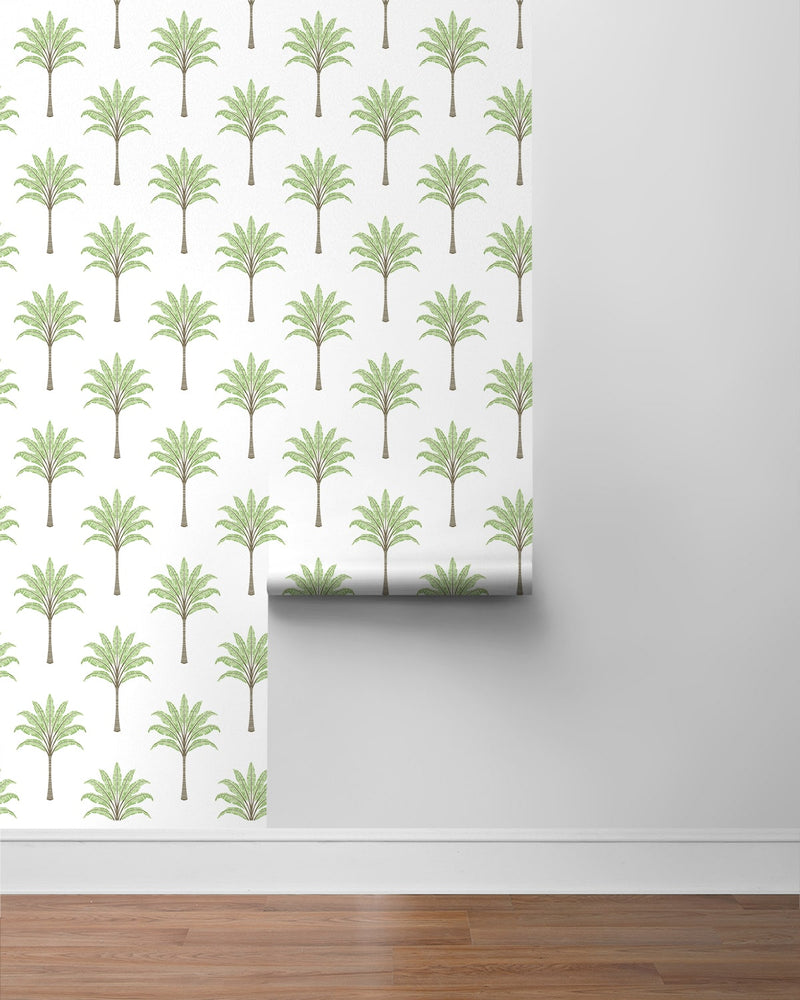 media image for Montgomery Palm Peel & Stick Wallpaper in Green Tea 256