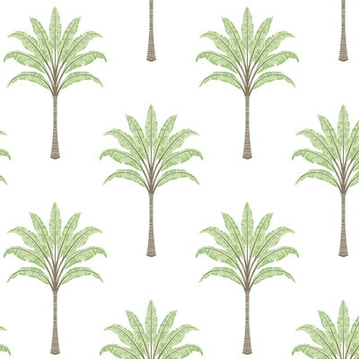 product image for Montgomery Palm Peel & Stick Wallpaper in Green Tea 83