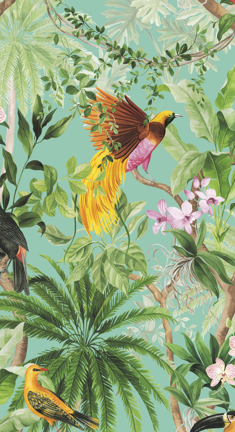 media image for Tropical Bird Peel & Stick Wallpaper in Aqua 24