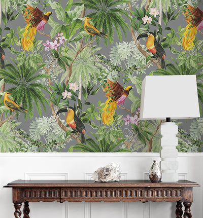 product image for Tropical Bird Peel & Stick Wallpaper in Grey 50