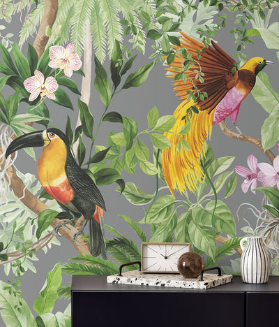 product image for Tropical Bird Peel & Stick Wallpaper in Grey 46