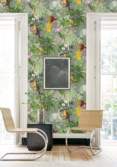 product image for Tropical Bird Peel & Stick Wallpaper in Grey 79