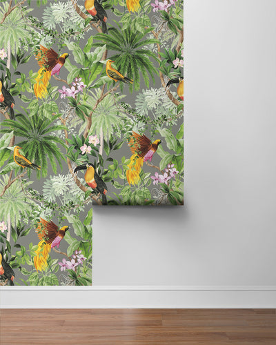 product image for Tropical Bird Peel & Stick Wallpaper in Grey 53