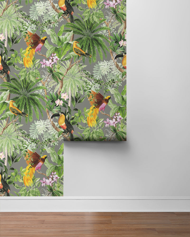 media image for Tropical Bird Peel & Stick Wallpaper in Grey 212