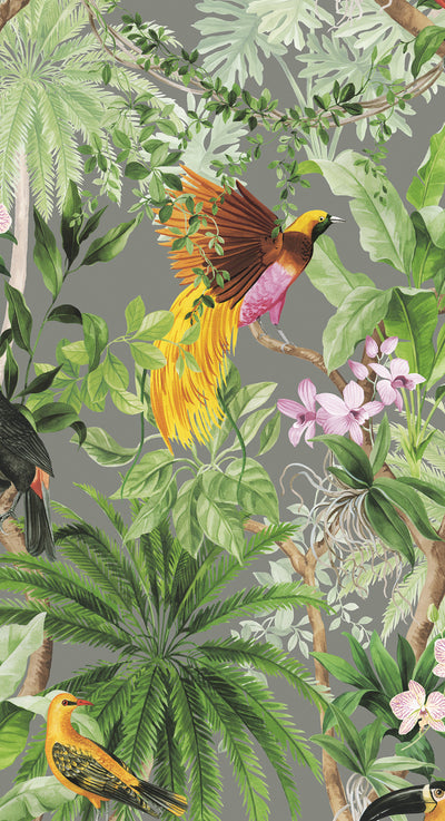 product image of Tropical Bird Peel & Stick Wallpaper in Grey 589