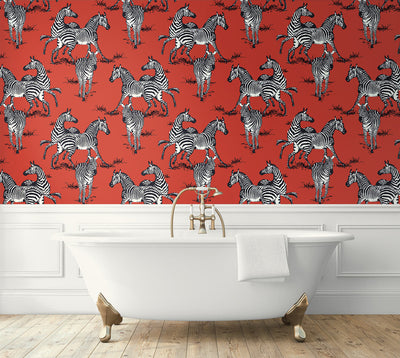 product image for Playful Zebras Peel & Stick Wallpaper in Red 93