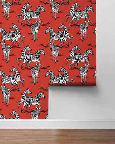 product image for Playful Zebras Peel & Stick Wallpaper in Red 49