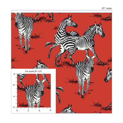 product image for Playful Zebras Peel & Stick Wallpaper in Red 37