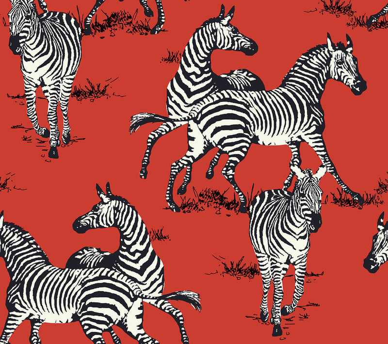 media image for Playful Zebras Peel & Stick Wallpaper in Red 235