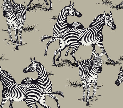 product image of Playful Zebras Peel & Stick Wallpaper in Pavestone 577