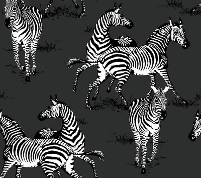 product image of Playful Zebras Peel & Stick Wallpaper in Charcoal 539