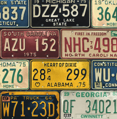 product image of License Plates Peel & Stick Wallpaper in Mutlicolored 558