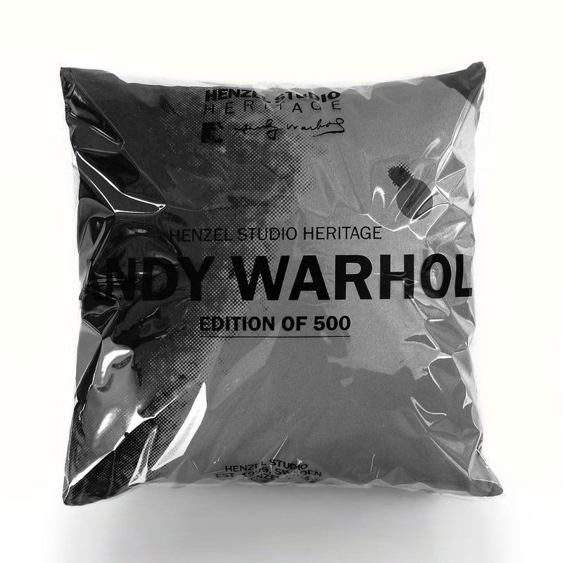 media image for Andy Warhol Art Pillow in Black & Grey design by Henzel Studio 24