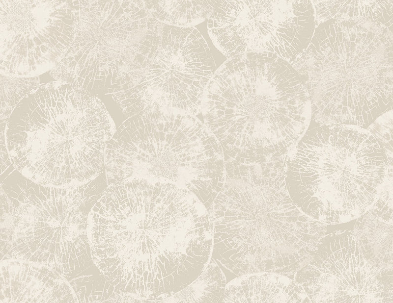 media image for Eren Dove Grey Wallpaper from the Japandi Collection by Seabrook Wallcoverings 281